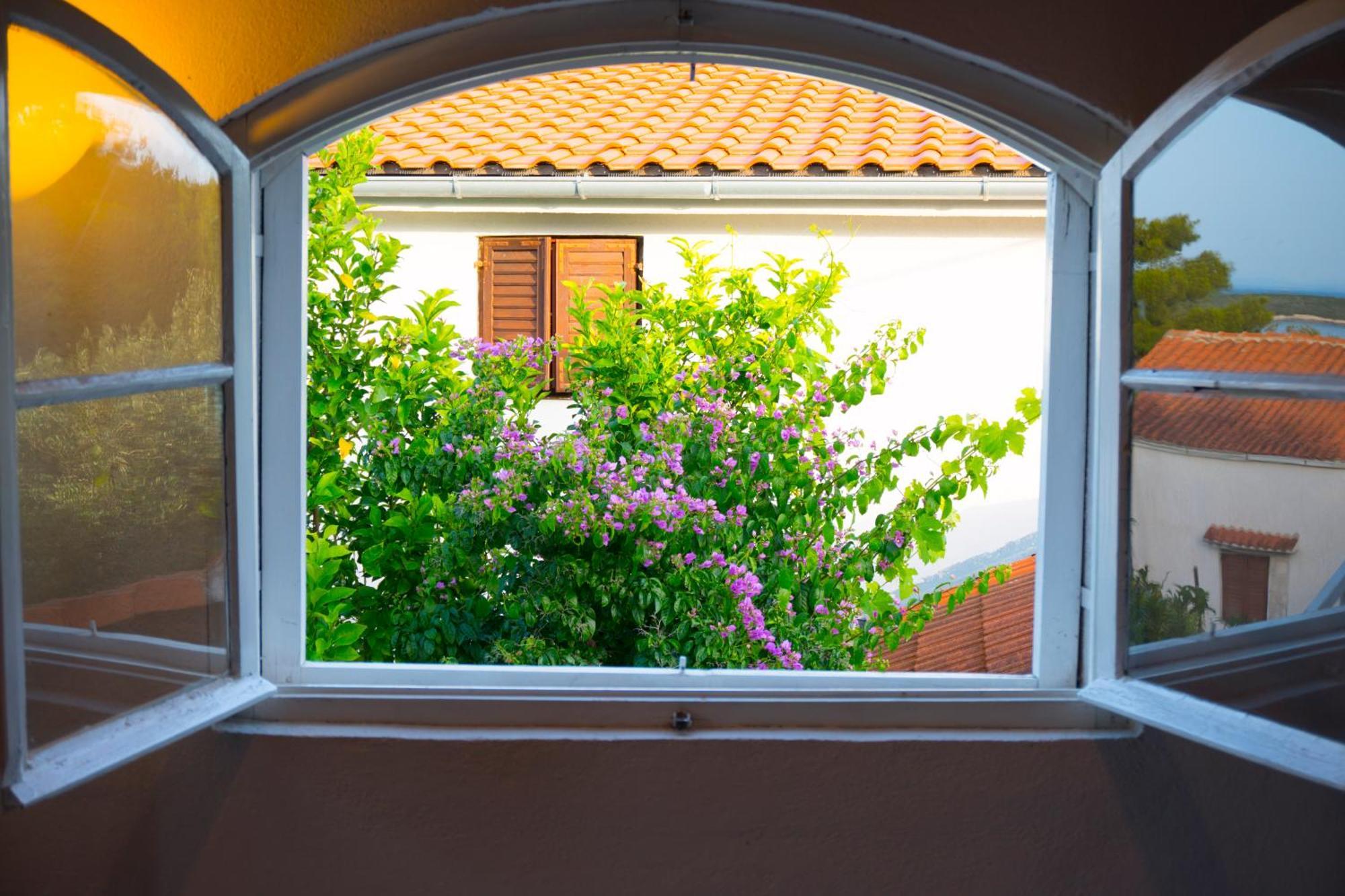 וויס The Sea House Apartments חדר תמונה